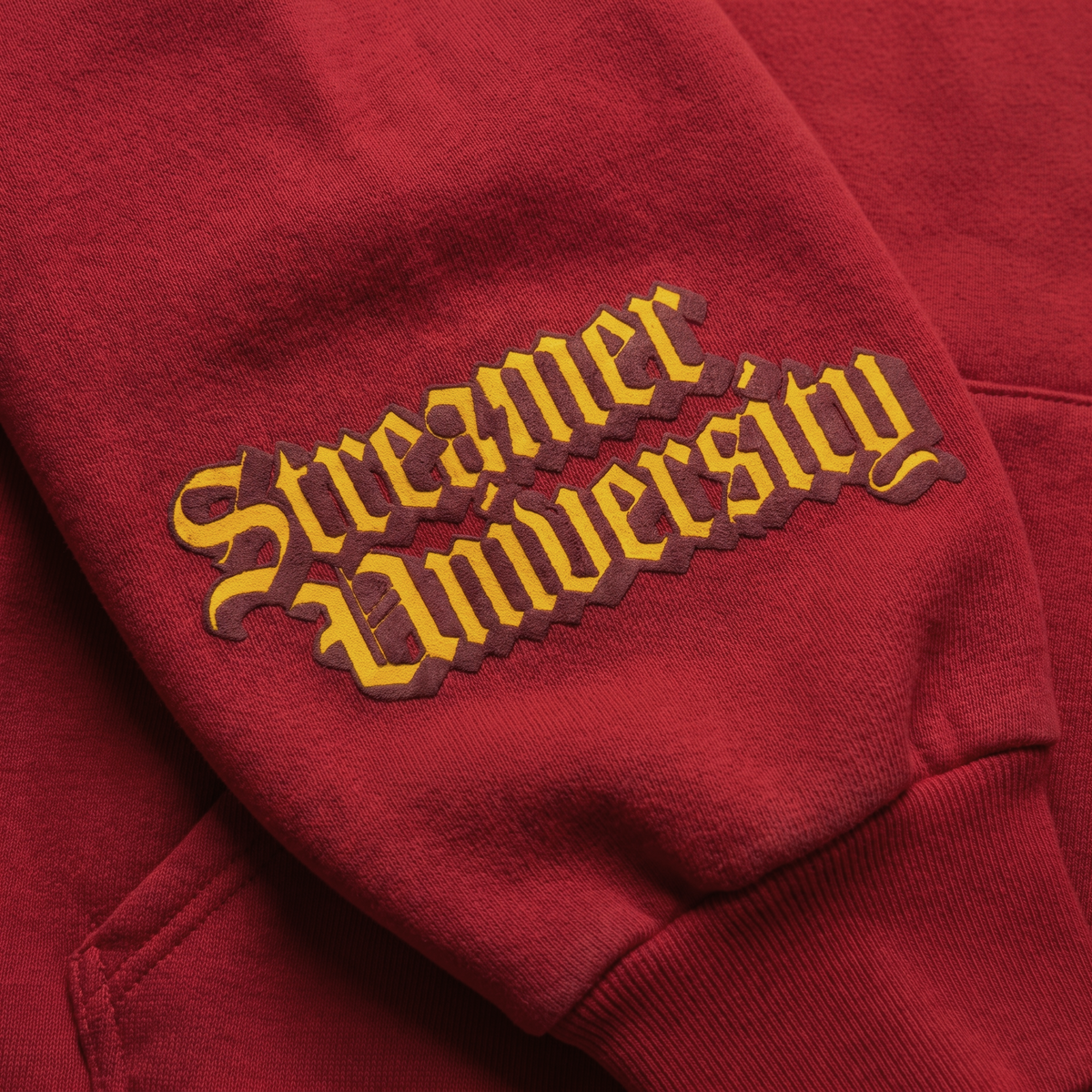 STREAMER UNIVERSITY HOODIE